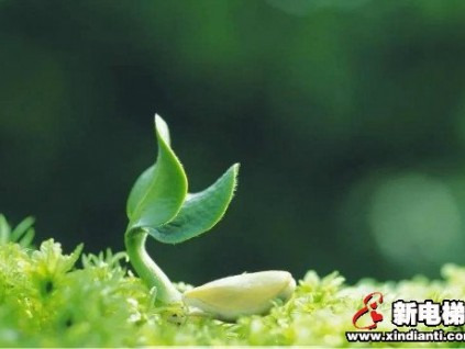 春土潤(rùn)萬(wàn)物，破土為新生 | 康力電梯2020年首期新人訓(xùn)