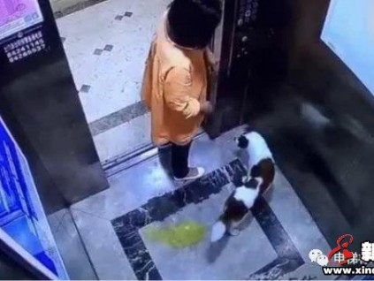 這條關(guān)于你的乘梯新規(guī)一定要讀！不良＂嗜好＂罰款2000！