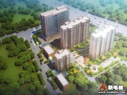 232臺(tái)！菱王電梯成功中標(biāo)河南安陽林州市安置房特大電梯項(xiàng)目
