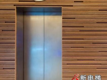 淺析海口家用小型電梯維護(hù)技術(shù)要領(lǐng)