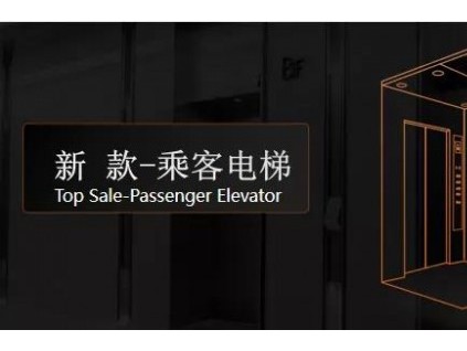 卓越新品，重磅發(fā)布 | 菱王電梯震撼“雙品”正式發(fā)布！