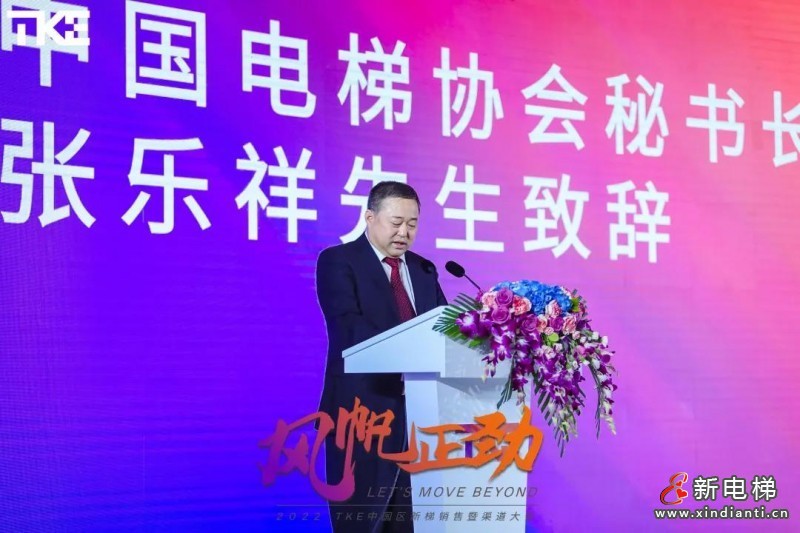 蒂升2