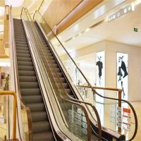 唐山電梯公司 家用別墅復(fù)式電梯 室內(nèi)外觀光電梯免費(fèi)安裝