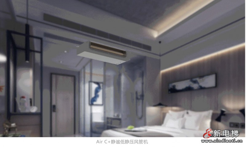 美4