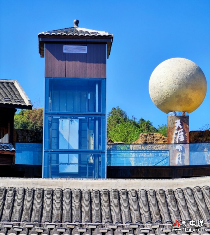 美8