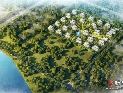 直隸?？?| 萊茵攜手匠心精筑理想海生活