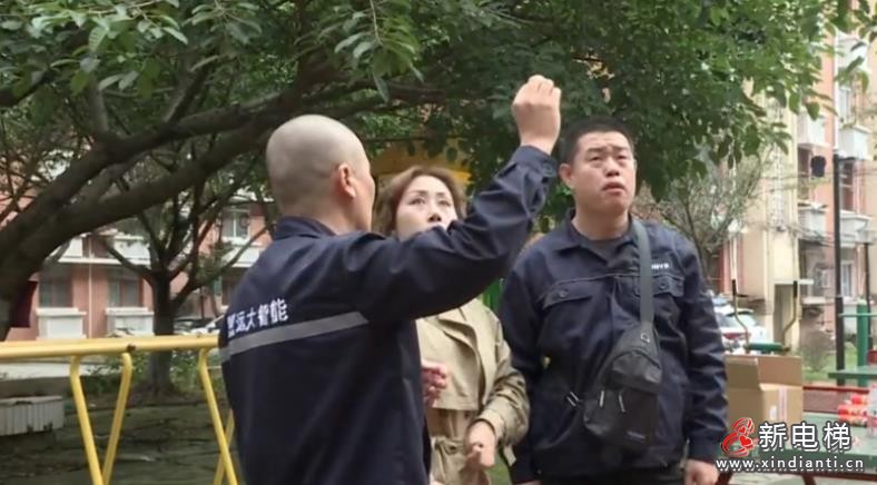 博林特