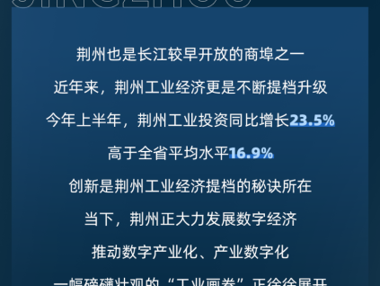 更穩(wěn)的守護(hù)｜省級(jí)重點(diǎn)項(xiàng)目，用菱王！