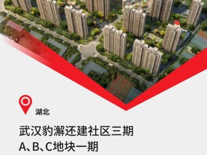 中建三局&40臺康力電梯，武漢重大民生工程！