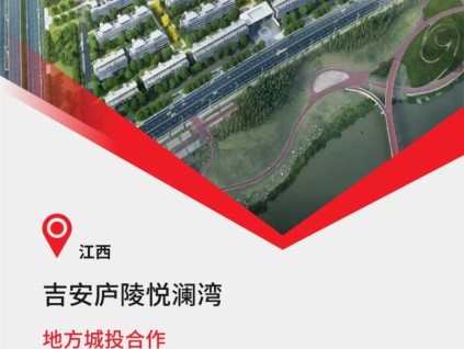 江西標(biāo)桿級智慧社區(qū)+99臺康力電梯！
