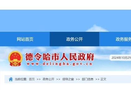 青海某德令哈市一公司電梯維?，F(xiàn)場(chǎng)工作人員少于兩人，被罰15000元