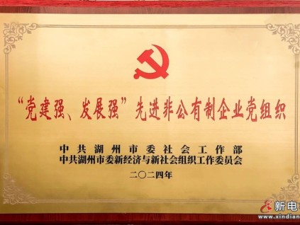 中共森赫電梯股份有限公司總支部委員會(huì)獲評(píng)市級(jí)“黨建強(qiáng)、發(fā)展強(qiáng)”先進(jìn)非公有制企業(yè)黨組織