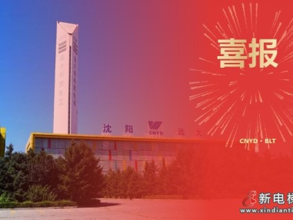 開門紅 | 遠大智能博林特電梯斬獲迪拜頂級豪宅項目，定制化服務(wù)再樹中東市場新標桿！
