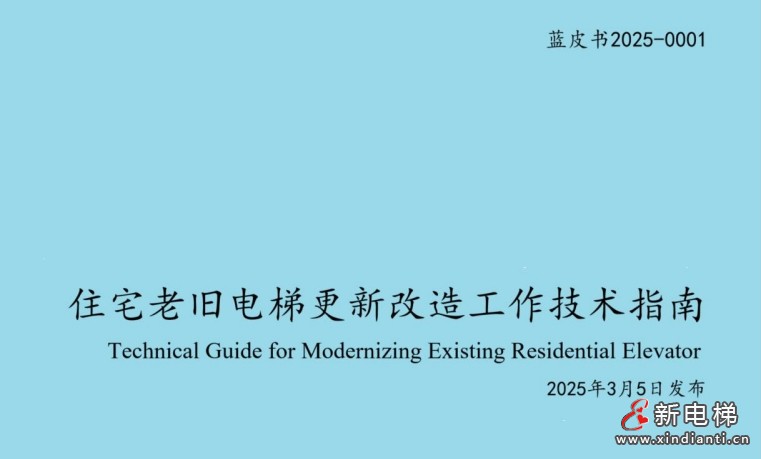 藍皮書